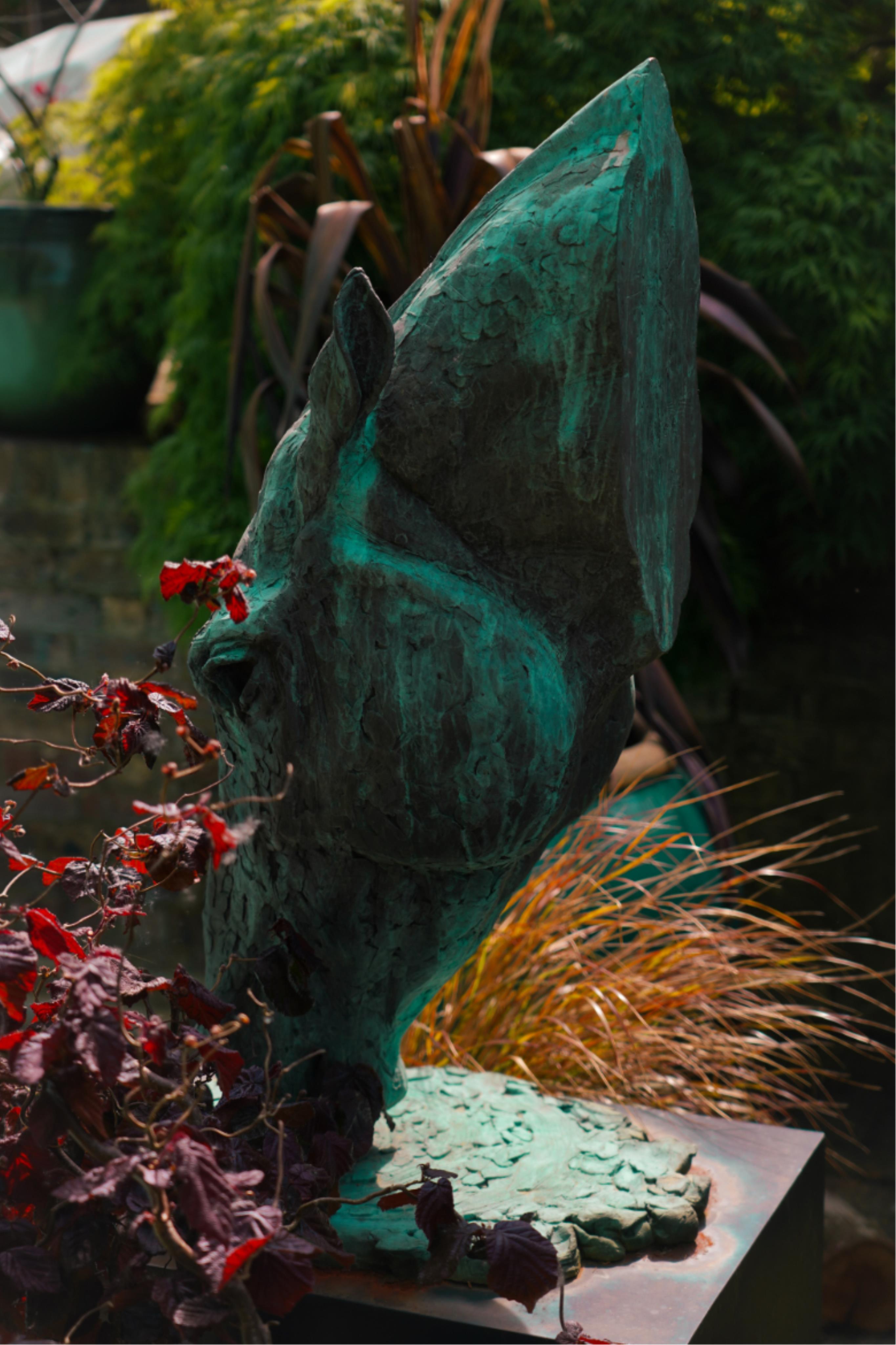 Lucy Kinsella, (b. 1960), 'Drinking Horse'